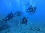 Hawaii Scuba divng 71