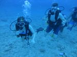 Hawaii Scuba divng 72