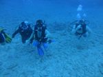 Hawaii Scuba divng 73