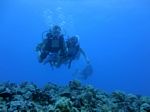 Hawaii Scuba divng 74