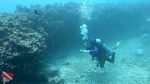 Oahu scuba 14