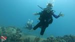 Oahu scuba 06