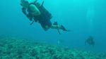 Hawaii Scuba divng 26