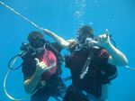 Hawaii Scuba divng 11