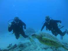 scuba diving in Honolulu, hawaii