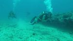 Hawaii Scuba divng 12