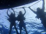 Hawaii Scuba divng 13