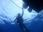 Hawaii Scuba divng 16