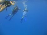 Hawaii Scuba divng 18