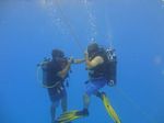 Hawaii Scuba divng 20