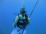 Hawaii Scuba divng 21