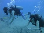 Hawaii Scuba divng 23