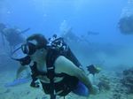 Hawaii Scuba divng 26