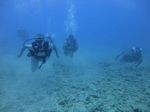 Hawaii Scuba divng 27