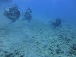 Hawaii Scuba divng 28