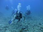 Hawaii Scuba divng 29