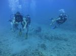 Hawaii Scuba divng 30