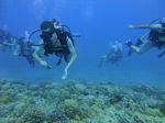 Hawaii Scuba divng 31