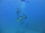 Hawaii Scuba divng 35