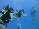 Hawaii Scuba divng 37