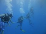 Hawaii Scuba divng 38