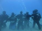 Hawaii Scuba divng 42