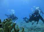 Hawaii Scuba divng 44