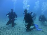 Hawaii Scuba divng 45