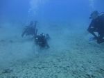 Hawaii Scuba divng 47