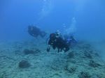 Hawaii Scuba divng 48