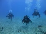 Hawaii Scuba divng 51