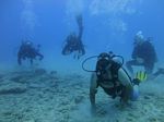 Hawaii Scuba divng 51