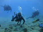 Hawaii Scuba divng 56