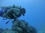 Hawaii Scuba divng 61