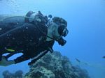 Hawaii Scuba divng 62