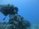 Hawaii Scuba divng 63