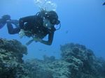 Hawaii Scuba divng 64