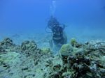 Hawaii Scuba divng 70