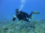 Hawaii Scuba divng 72