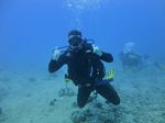 Hawaii Scuba divng 79