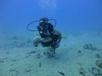 Hawaii Scuba divng 80