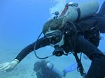 Hawaii Scuba divng 81