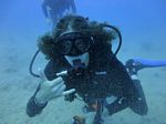 Hawaii Scuba divng 82