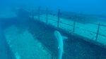Hawaii Scuba divng 32