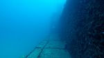Hawaii Scuba divng 35