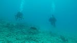 Hawaii Scuba divng 47