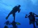 Hawaii Scuba divng 10