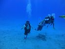 Hawaii Scuba divng 13