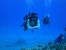 Hawaii Scuba divng 16