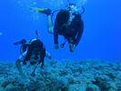 Hawaii Scuba divng 18